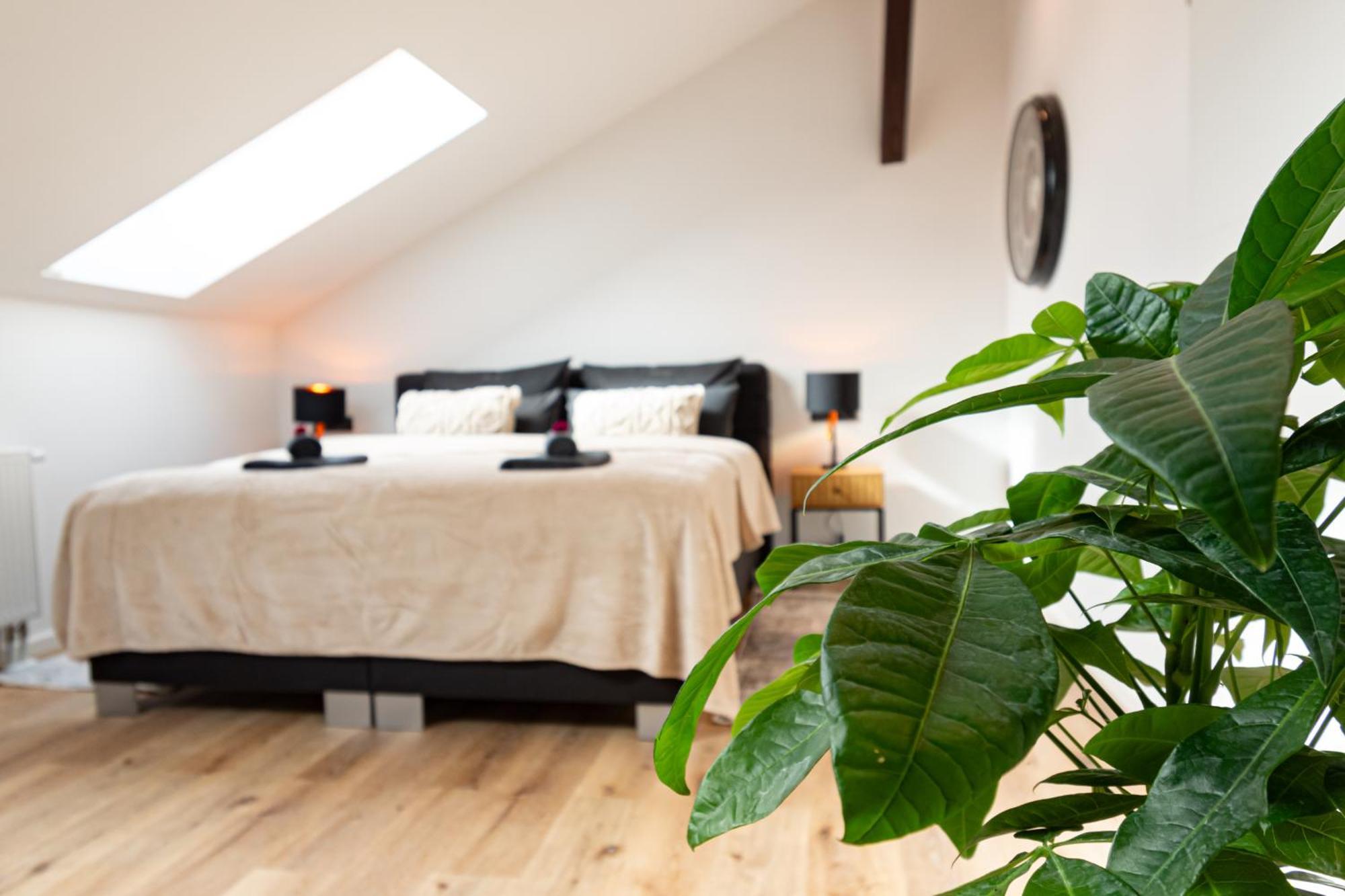 Sweethome - Zentral - Kueche & Parkplatz, Wifi Halle  Exteriör bild